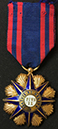 coll_dem_132