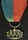 coll_dem_252