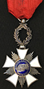 coll_dem_309
