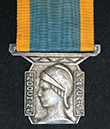 coll_dem_154