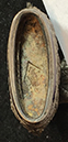 coll_dem_317b